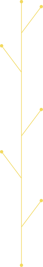 Línea cronológica de Safety & Housekeeping